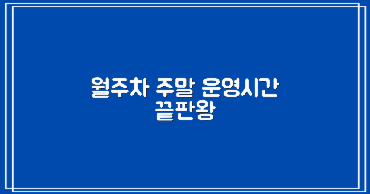 월주차, 주말, 운영시간 완벽 정리