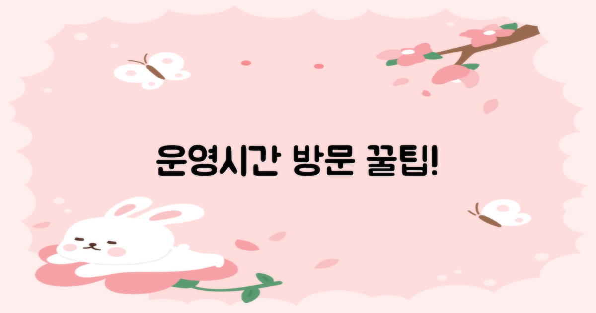 운영시간 및 방문 팁